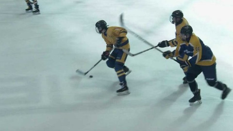 Olympiáda dětí a mládeže - Lední hokej