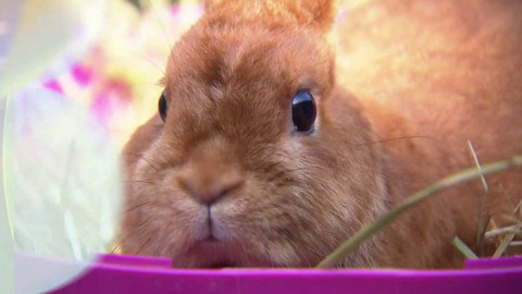 Hobby naší doby - 12. října 2019