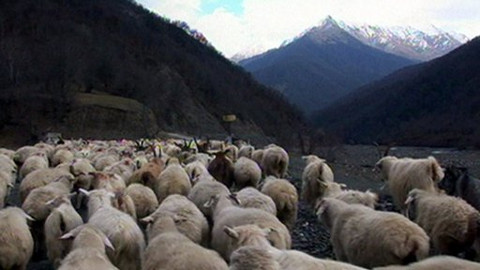 Objektiv - 29. března 2009