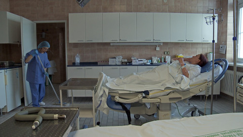 Český žurnál - Pět zrození