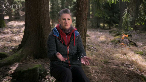 Ke štěstí - 10/12 Příroda