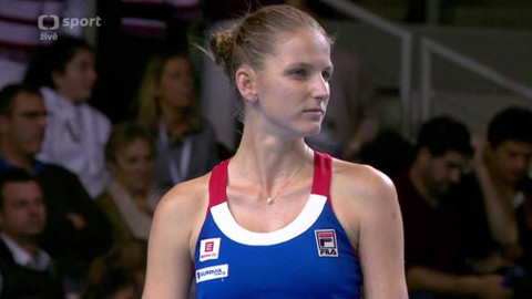 Fed Cup 2016 - Francie - Česko (finále)