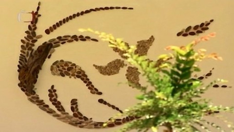 Zahrada je hra - 11. září 2008