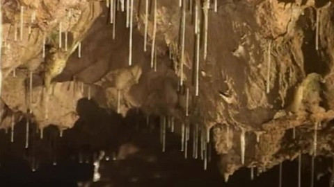 Toulavá kamera - 13. března 2005