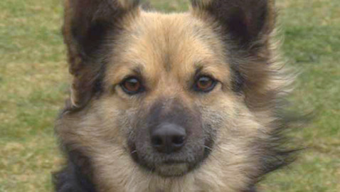 Chcete mě? - Chcete je?