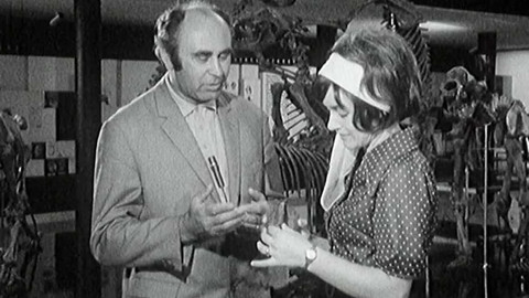 Týden v regionech (Brno) - 9. dubna 2022