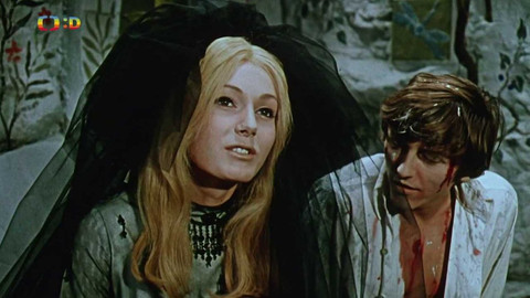 Zprávičky - 29. prosince 2023