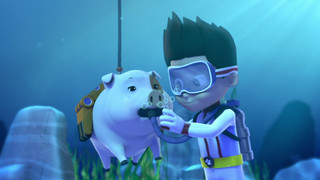 Tlapková patrola III