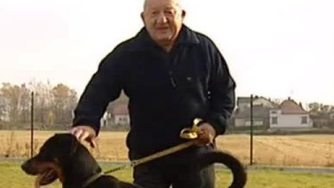 Chcete mě? - Chcete je?