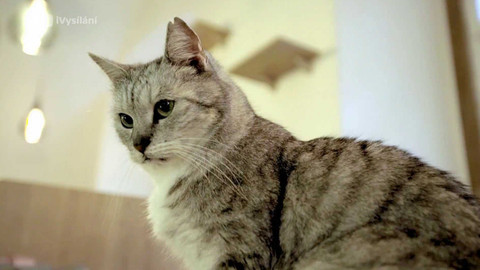 Máme rádi zvířata - 3. dubna 2023