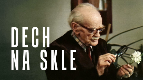 Dech na skle
