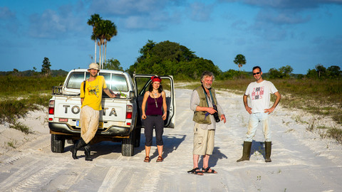 Svět podle termitů