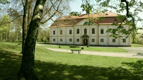 Toulavá kamera - 22. července 2018