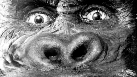 Byl jednou jeden film - 12/15 King Kong