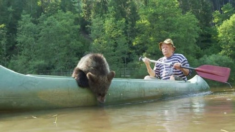 Méďové na cestách - 16/43 Českokrumlovsko