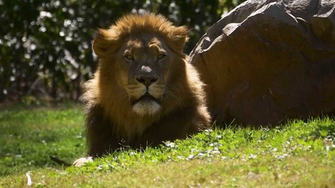 Zprávičky - 8. února