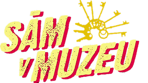 Sám v muzeu
