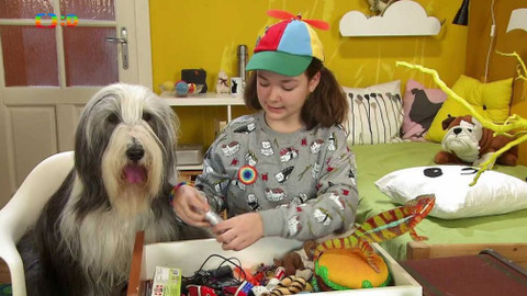 Terčin zvířecí svět - 13. dubna 2018