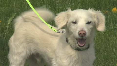 Chcete mě? - Chcete je?