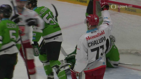 Buly hokej - Buly - souhrn