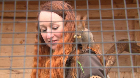 Chcete mě? - 4. března 2018