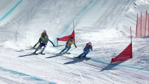 Světový pohár ve freestyle lyžování - SP Švýcarsko