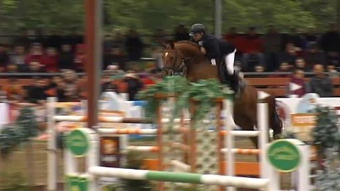 Jezdectví - Velká cena Brna