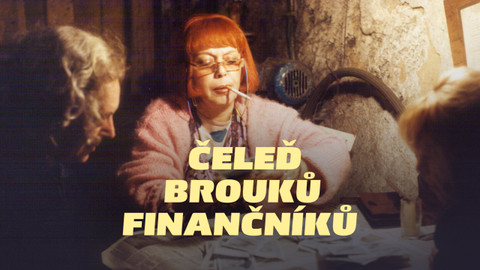 Čeleď brouků finančníků
