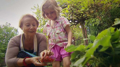 Moje zahrádka - Ovocná neděle