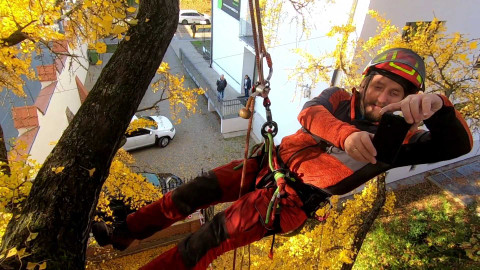 Týden v regionech (Brno) - 9. listopadu 2024