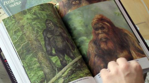 Nedej se! - Stezkami kryptozoologů