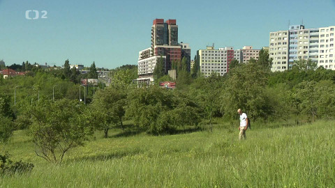 Nedej se! - Louky mezi paneláky