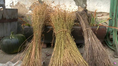 Toulavá kamera - 19. listopadu 2017