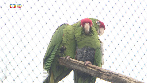 Zprávičky - 14. února