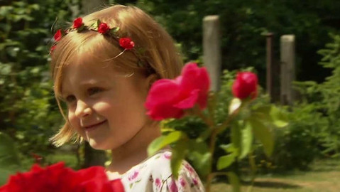 Moje zahrádka - Princezna růže