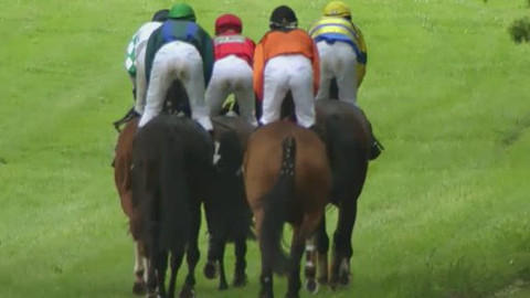 Jezdectví - Steeplechase Koloráda / Pardubice