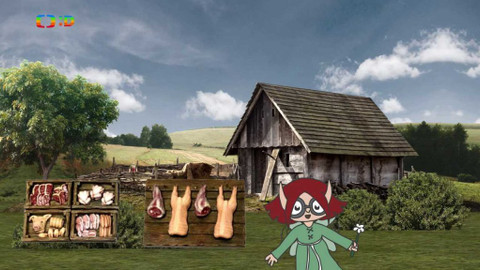 Ty Brďo! - Povolání