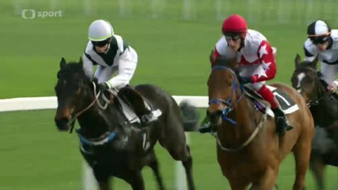 Turf - 9. dubna 2014