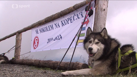 Sokolský zpravodaj - 7. září 2019