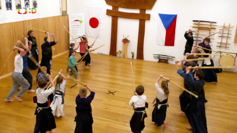 Lvíčata - 23. listopadu 2024