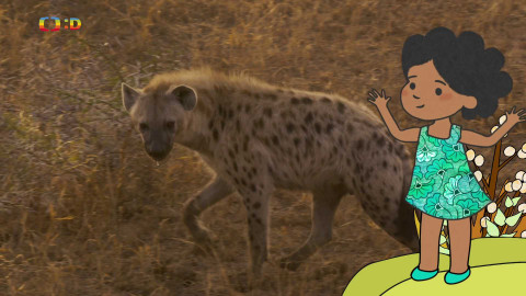 Velká kniha o zvířátkách - Epizoda 19/52