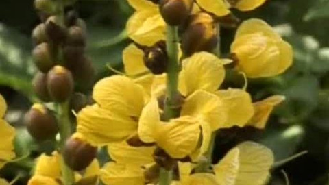 Přidej se - Afrika I.