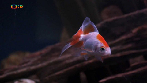 Tamtam - 5. října 2019