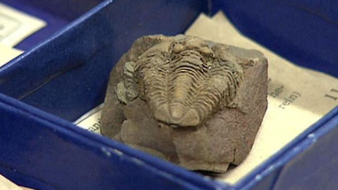 Z metropole - 16. listopadu 2013