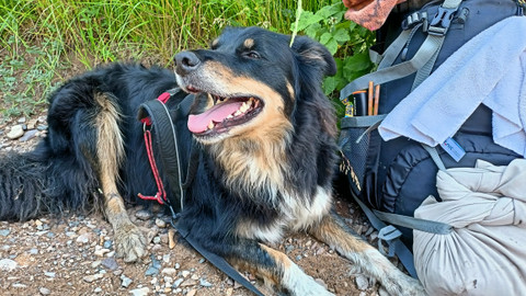 Test iV - Test iV 2025