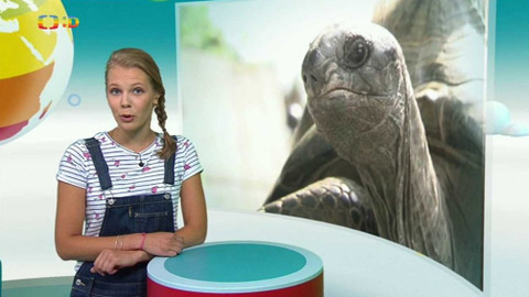 Zprávičky - 22. srpna 2017