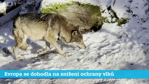 Události v regionech (jih a západ) - 13. prosince 2024