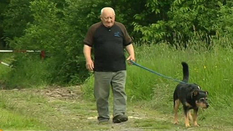 Chcete mě? - Chcete je?