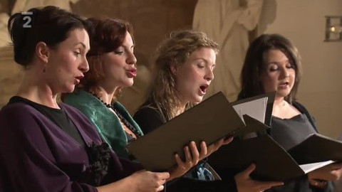 Terra musica - 16. listopadu 2011