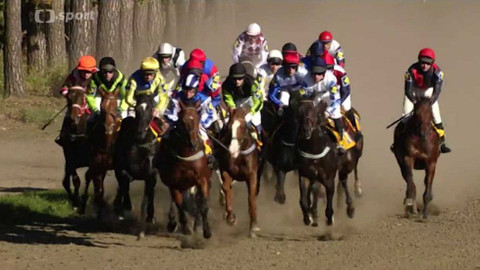 Velká pardubická - historie - 2010